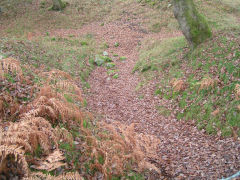 
Graig Wen quarry level, October 2009